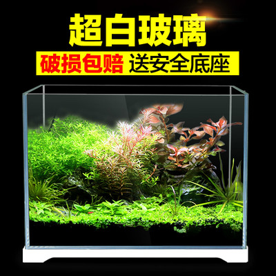 平?jīng)鍪嗅轻紖^(qū)龍翔越水族館（平?jīng)鍪嗅轻紖^(qū)龍翔越水族館地址）