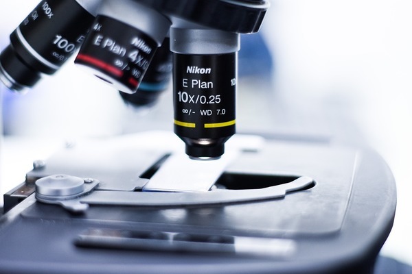 咸安區(qū)名洋水族（咸陽水族）