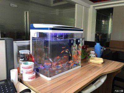 龍魚魚缸有些什么品牌好：森森龍魚缸用戶評價如何