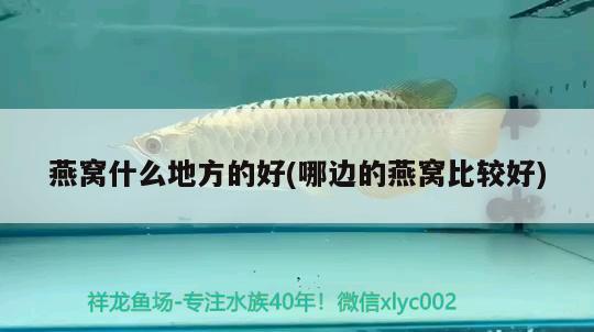 廣州市荔灣區(qū)歡躍水族店 廣州市荔灣區(qū)歡躍水族店 全國水族館企業(yè)名錄 第1張