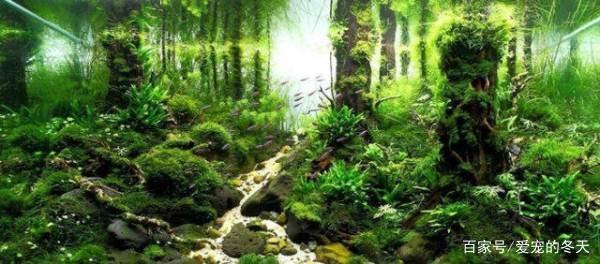 貴州省濟(jì)和堂醫(yī)藥連鎖有限公司銀河（貴州省濟(jì)和堂醫(yī)藥連鎖有限公司銀河分店）