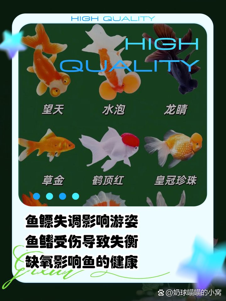 紅龍魚側身游