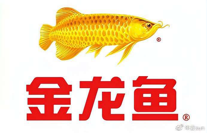 金龍魚是哪里的牌子