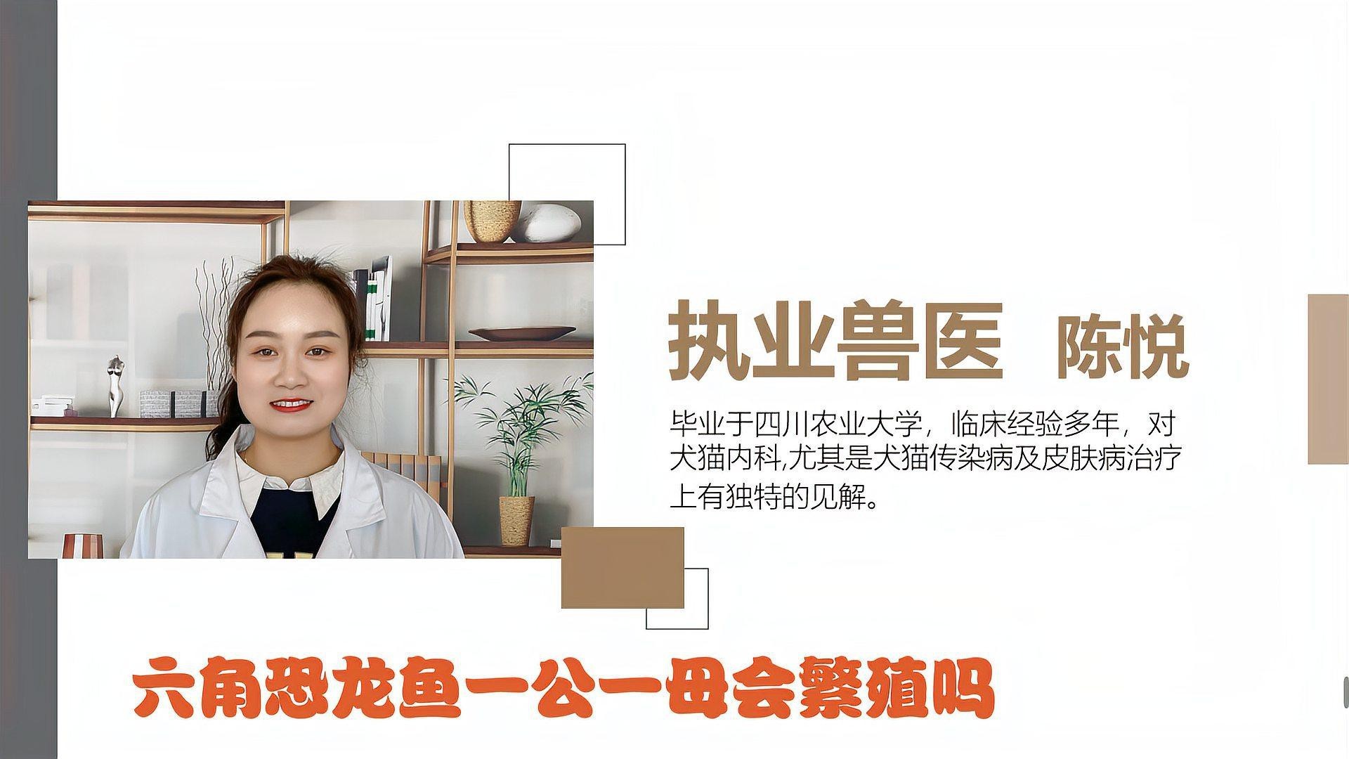 六角恐龍魚繁殖后如何護理？