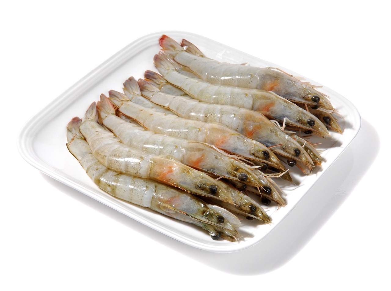 清蒸魚頭的做法最正宗的做法視頻（清蒸魚頭的做法最正宗的做法視頻大全）