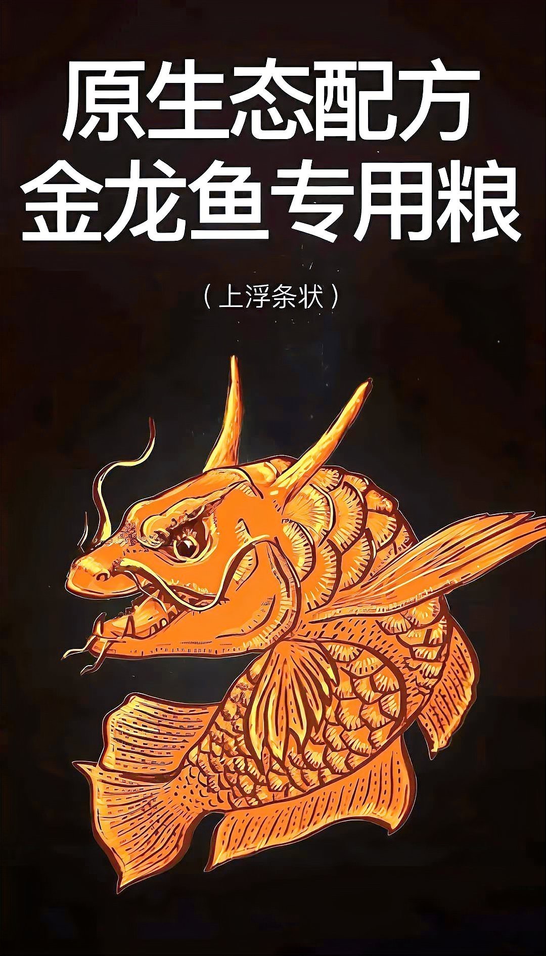 金龍魚(yú)掉尾怎么辦