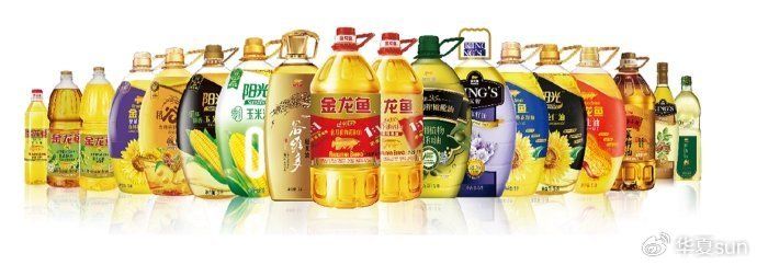 金龍魚水泵流量：汕頭觀賞魚一條街是指哪條街