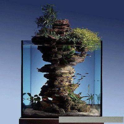 紅龍魚背景圖片素材高清無水印下載（紅龍魚背景圖片素材高清無水印下載安裝）