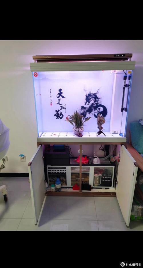 有沒有更多高清龍魚缸壁紙款式