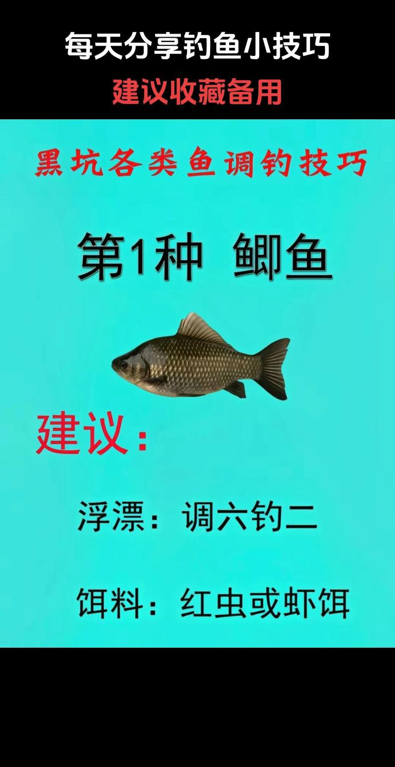 旗艦三代和五代哪個(gè)更適合黑坑？