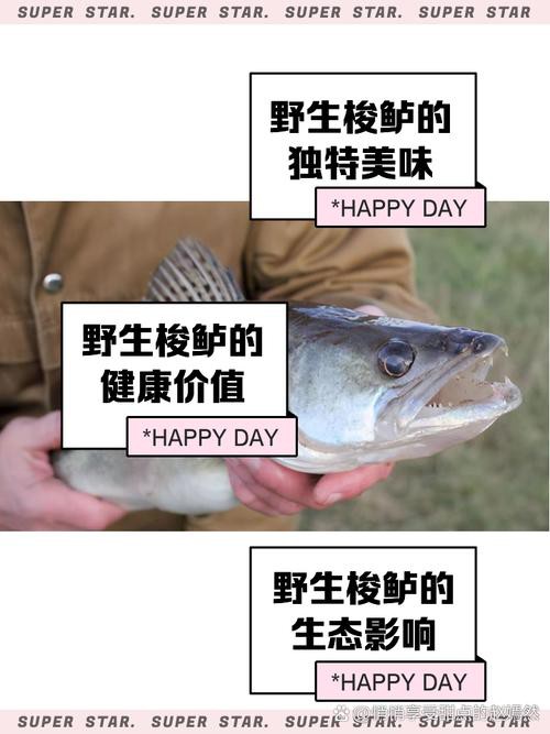 天山雪龍魚是什么魚種圖片