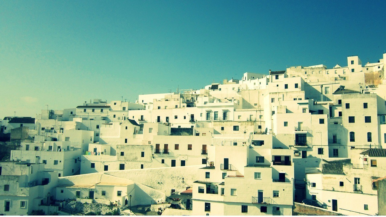 太倉市瀏河鎮洋洲觀賞魚經營部（太倉市瀏河鎮洋洲觀賞魚經營部地址）