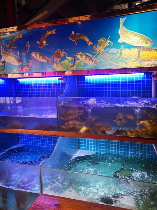 伊春龍魚專賣店