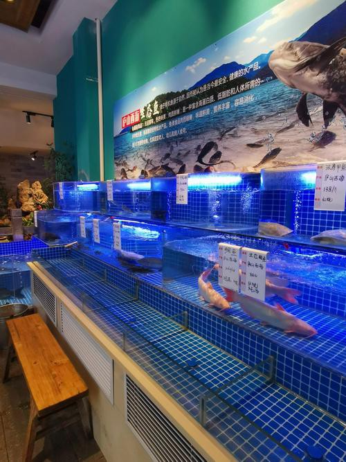 伊春龍魚專賣店