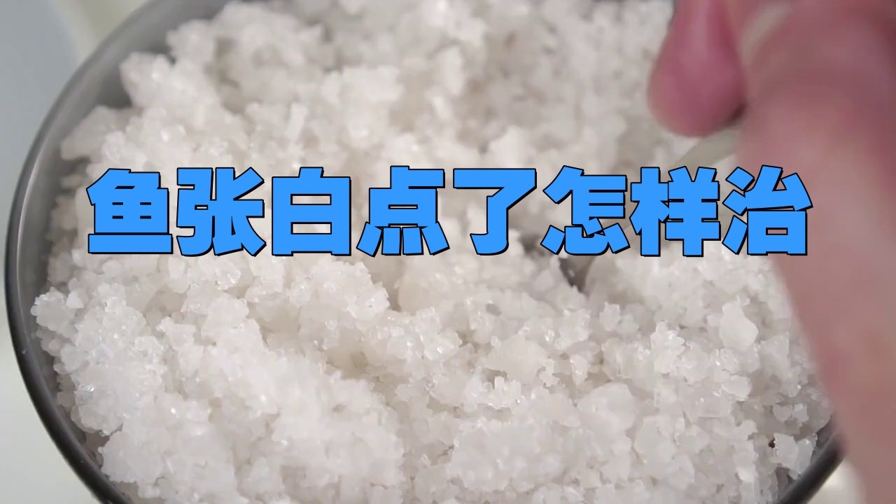 銀龍魚身上有白疙瘩怎么治 銀龍魚身上有白疙瘩怎么治 龍魚百科 第2張