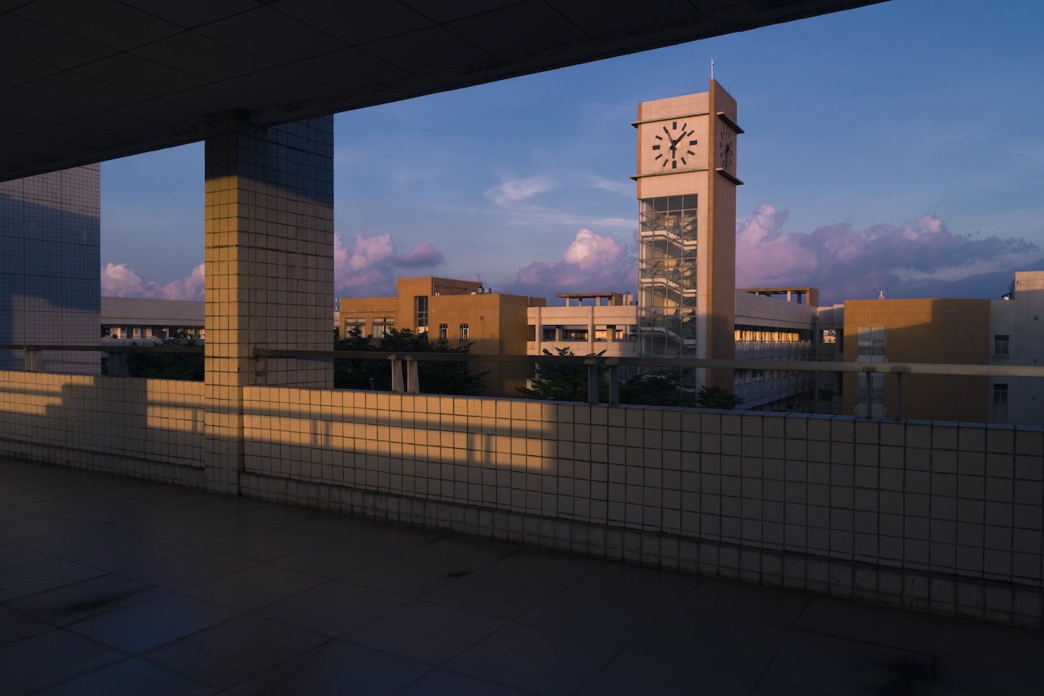 介休市城區東云閣花卉店