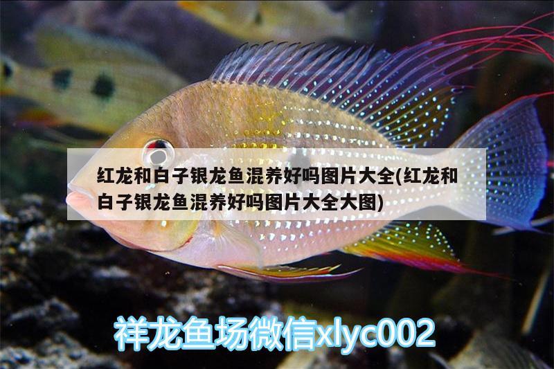 河北昭亮節能科技有限公司（河北昭亮節能科技有限公司怎么樣） 河北昭亮節能科技有限公司（河北昭亮節能科技有限公司怎么樣） 全國水族館企業名錄 第3張