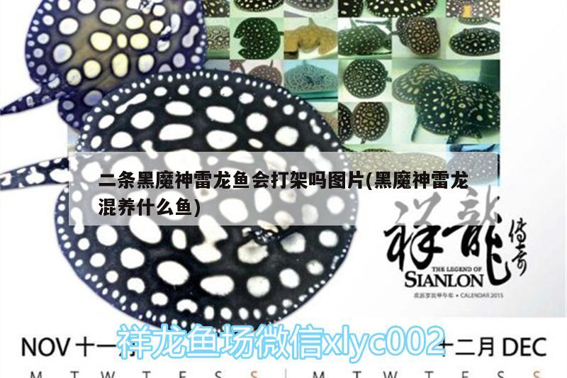 河北昭亮節能科技有限公司（河北昭亮節能科技有限公司怎么樣） 河北昭亮節能科技有限公司（河北昭亮節能科技有限公司怎么樣） 全國水族館企業名錄 第1張