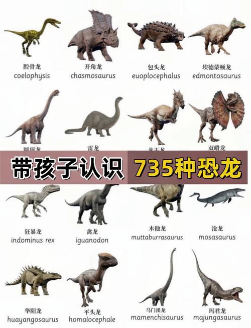 恐龍魚品種大全圖片及價格
