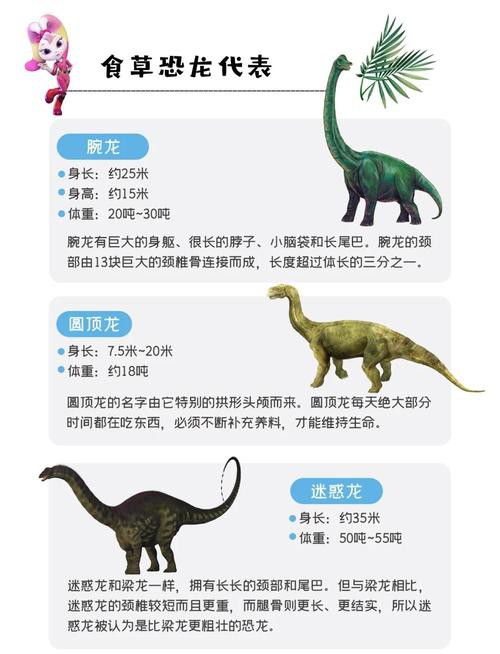 恐龍魚品種大全圖片及價格