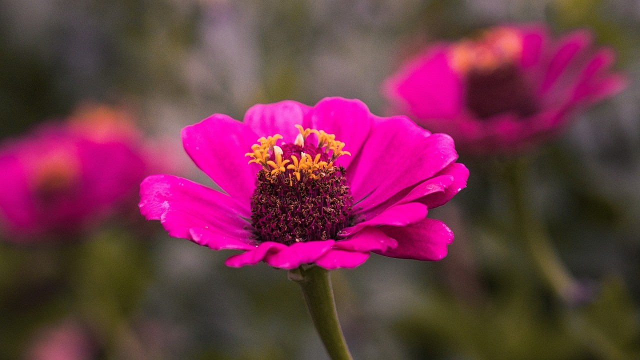 江北區(qū)芳芳花藝經(jīng)營部(江北區(qū)芳芳花藝經(jīng)營部地址) 全國水族館企業(yè)名錄 第3張 江北區(qū)芳芳花藝經(jīng)營部(江北區(qū)芳芳花藝經(jīng)營部地址) 江北區(qū)芳芳花藝經(jīng)營部(江北區(qū)芳芳花藝經(jīng)營部地址) 全國水族館企業(yè)名錄 第3張