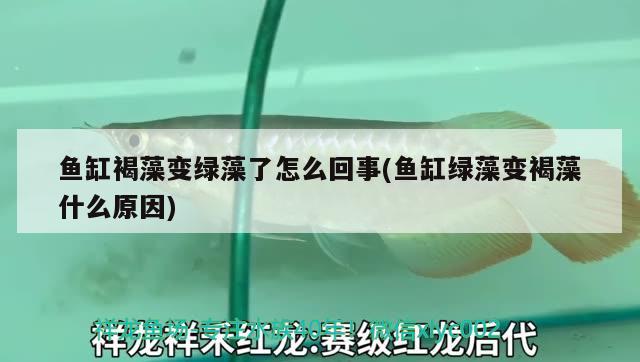 北京玉銘藝堂珠寶店