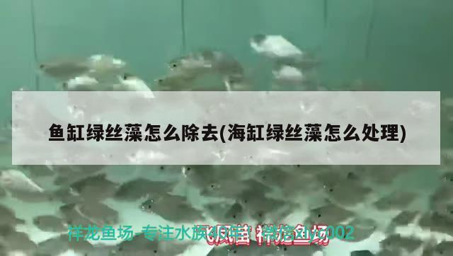 北京玉銘藝堂珠寶店