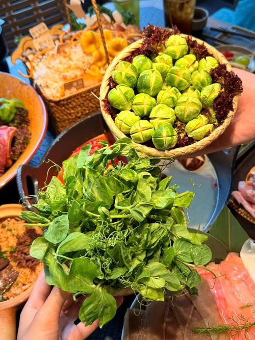 大龍魚圖片高清 大龍魚圖片高清 龍魚百科 第24張