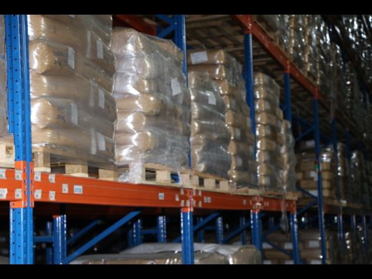 狗狗（犬）批發：如何選擇狗狗批發貨源基地