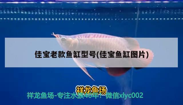 附近哪有觀賞魚店賣的（我這附近有沒有觀賞魚店）