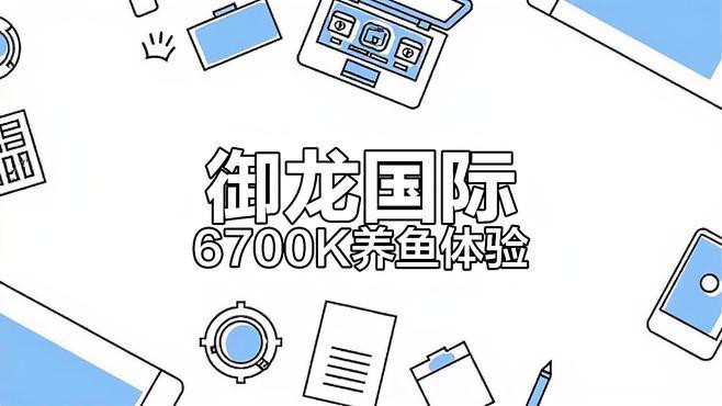 水虎魚和龍魚混養可以嗎圖片欣賞