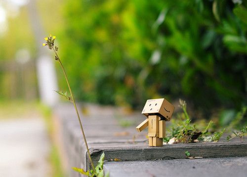 跟龍魚有關的網名女生可愛：“龍魚女孩”與“龍魚女孩”相關的網名：融合情感型