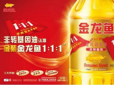 金龍魚一天吃多少合適：金龍魚的喂食量取決于它的大小和生長階段