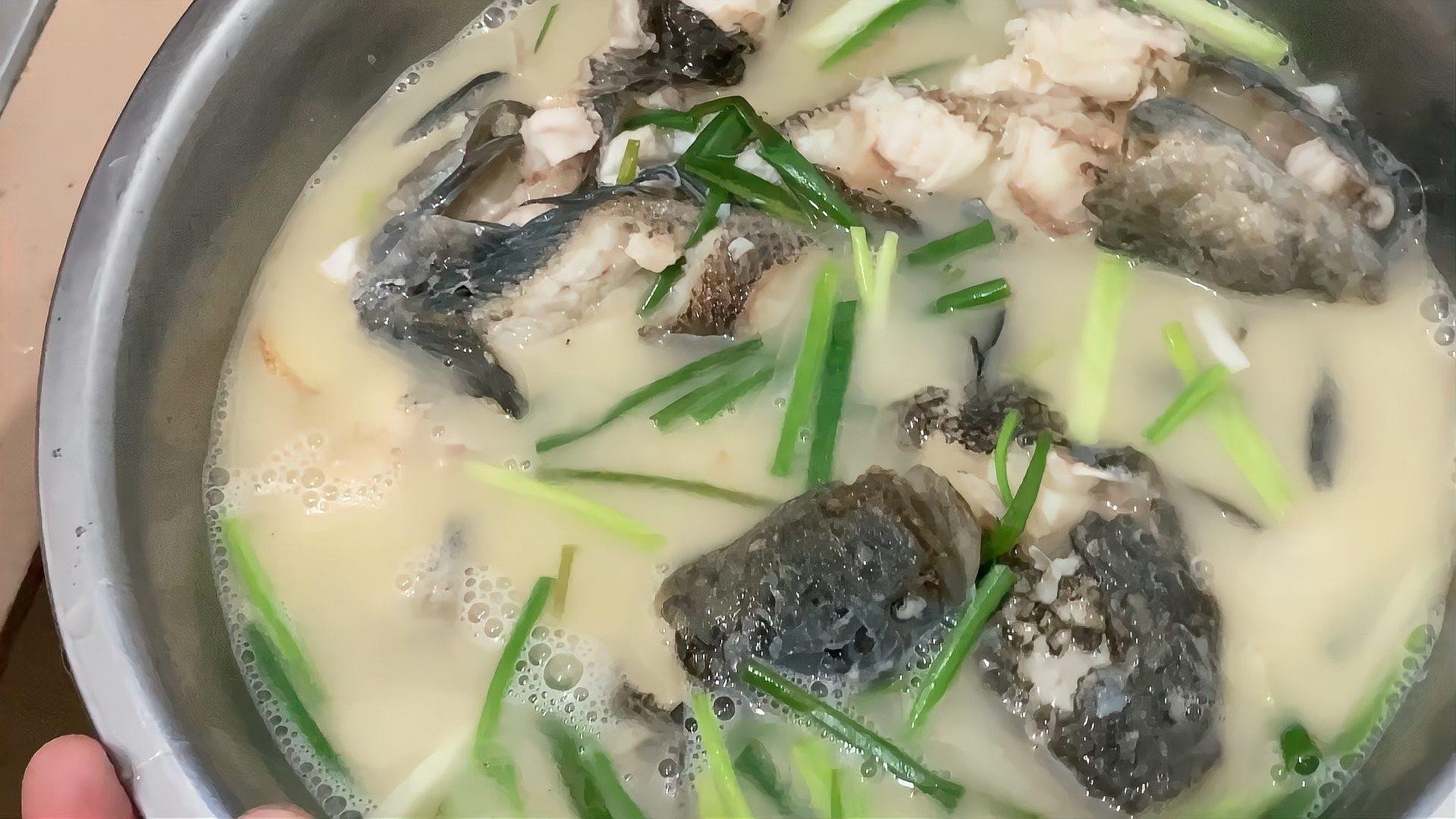七星魚(yú)和雷龍魚(yú)哪個(gè)更有營(yíng)養(yǎng)？