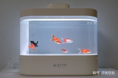 佛山市城區(qū)新大新水族器材經(jīng)營部（佛山市城區(qū)新大新水族器材經(jīng)營部地址）