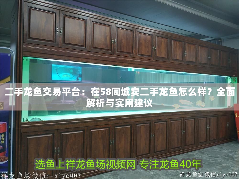 二手龍魚交易平臺：在58同城賣二手龍魚怎么樣？全面解析與實用建議