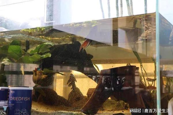 華潤萬家生活超市（廣州）有限公司獅嶺城市廣場店（獅嶺鎮華潤萬家）