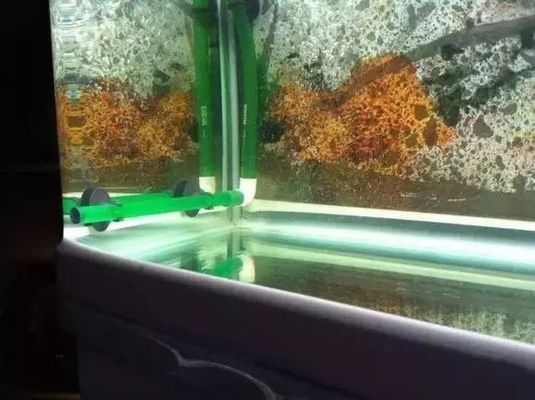威海臨港經濟技術開發區魚化龍水族館（魚化龍集團開發的樓盤）