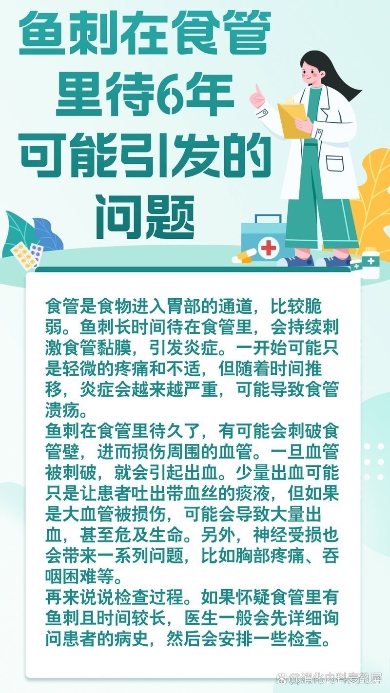 銀龍魚吃魚塊會不會劃傷食道