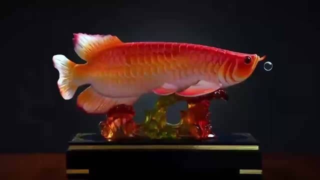 閃耐金龍魚