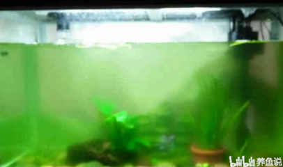 錦州市松山新區裕花園苗圃（錦州苗圃電話）