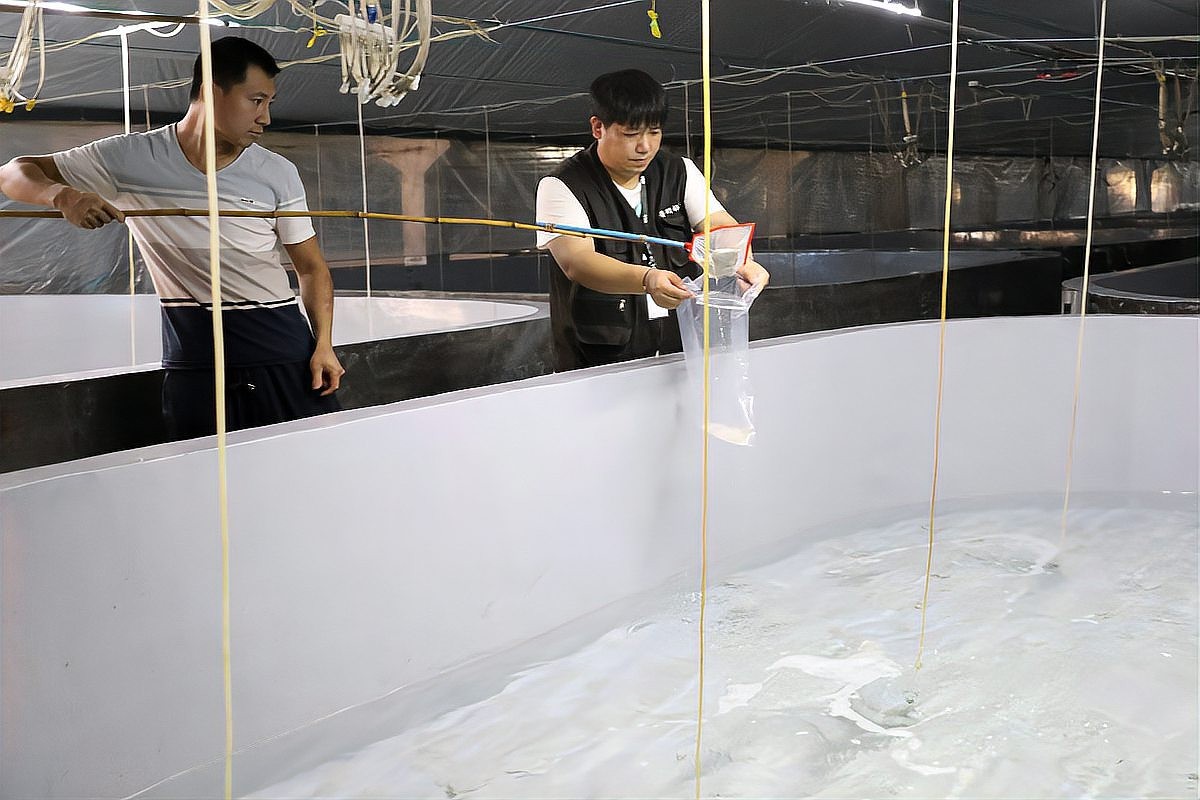 龍魚混養需要多久的過渡期？