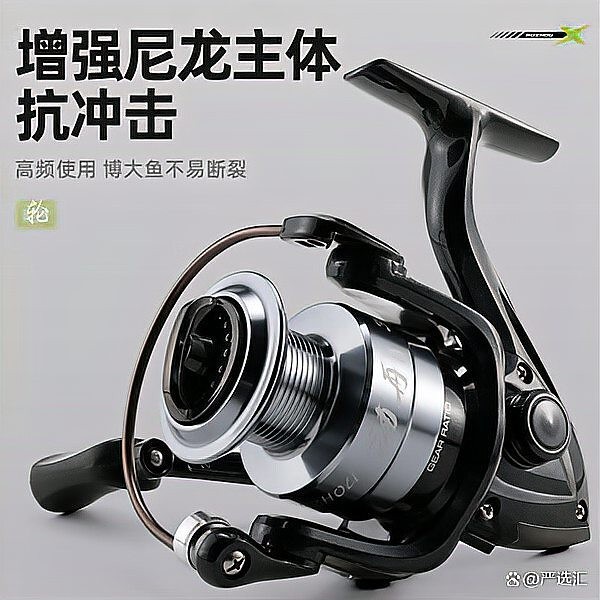 青龍魚線與漢鼎魚線哪個好 青龍魚線與漢鼎魚線哪個好 龍魚百科 第2張