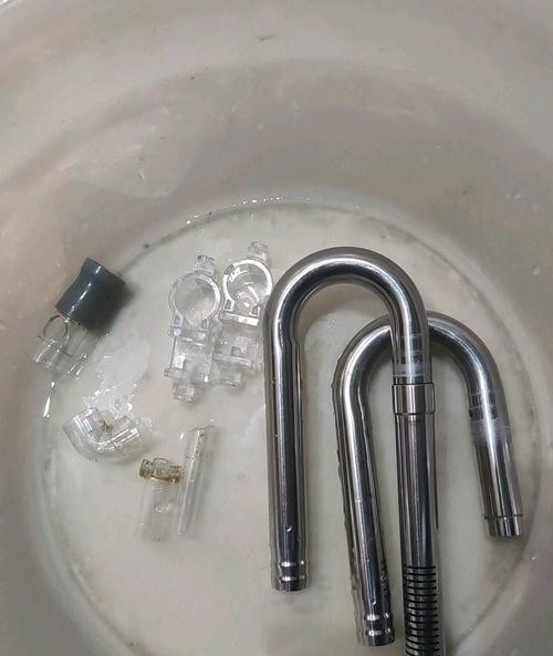 龍魚一直趴在缸底不動怎么辦呢圖片 龍魚一直趴在缸底不動怎么辦呢圖片 龍魚百科 第8張