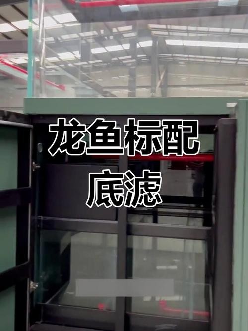 龍魚一直趴在缸底不動怎么辦呢圖片 龍魚一直趴在缸底不動怎么辦呢圖片 龍魚百科 第26張