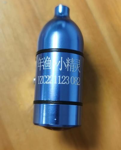 龍魚一直趴在缸底不動怎么辦呢圖片 龍魚一直趴在缸底不動怎么辦呢圖片 龍魚百科 第7張