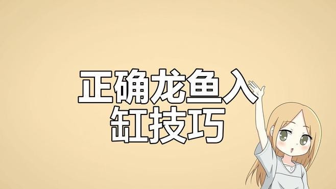 龍魚一直趴在缸底不動怎么辦呢圖片 龍魚一直趴在缸底不動怎么辦呢圖片 龍魚百科 第31張