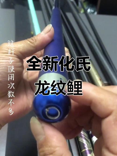龍魚一直趴在缸底不動怎么辦呢圖片 龍魚一直趴在缸底不動怎么辦呢圖片 龍魚百科 第11張