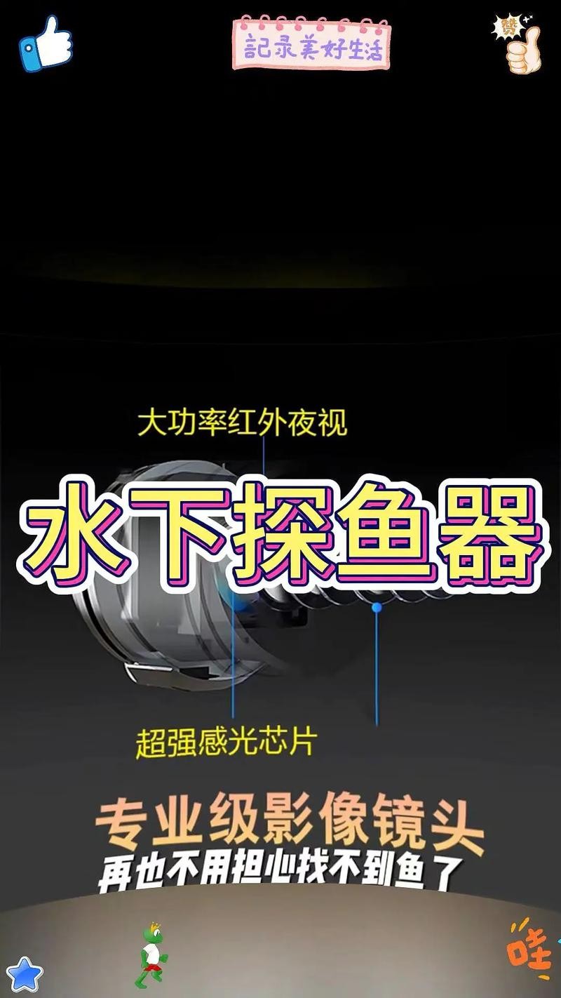 龍魚一直趴在缸底不動怎么辦呢圖片 龍魚一直趴在缸底不動怎么辦呢圖片 龍魚百科 第21張