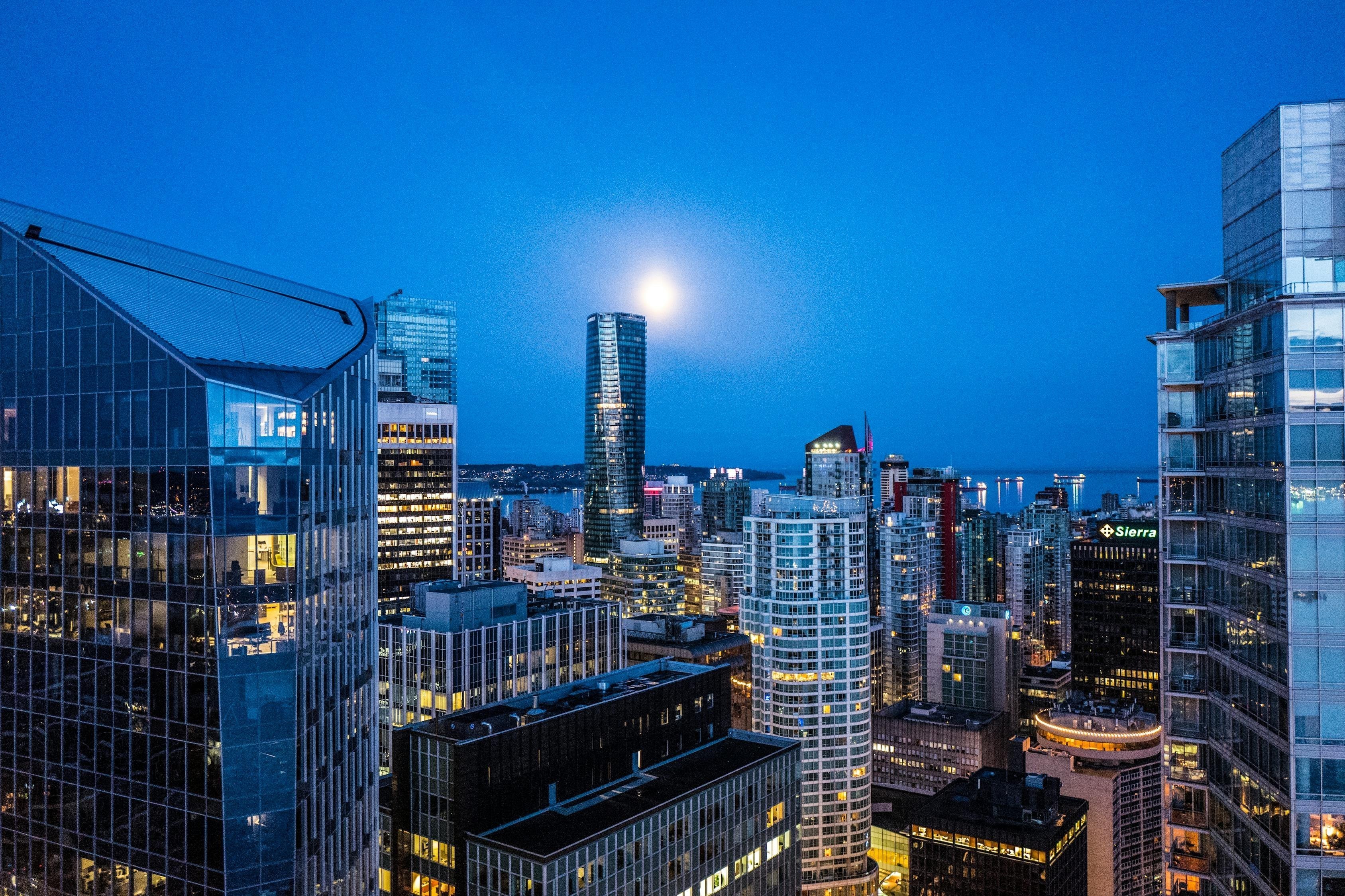 紅色龍魚的投資回報率高嗎？ 紅色龍魚的投資回報率高嗎？ 龍魚百科 第2張